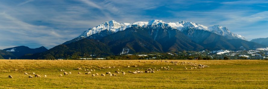 panorama landscape with bucegi mountains