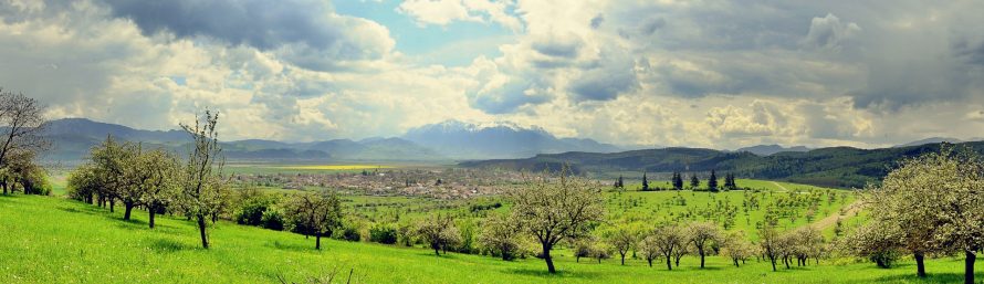 Untitled_Panorama2